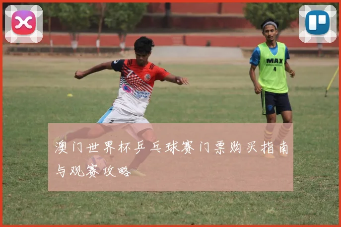澳门世界杯乒乓球赛门票购买指南与观赛攻略