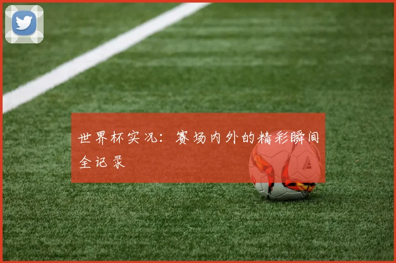 世界杯实况：赛场内外的精彩瞬间全记录