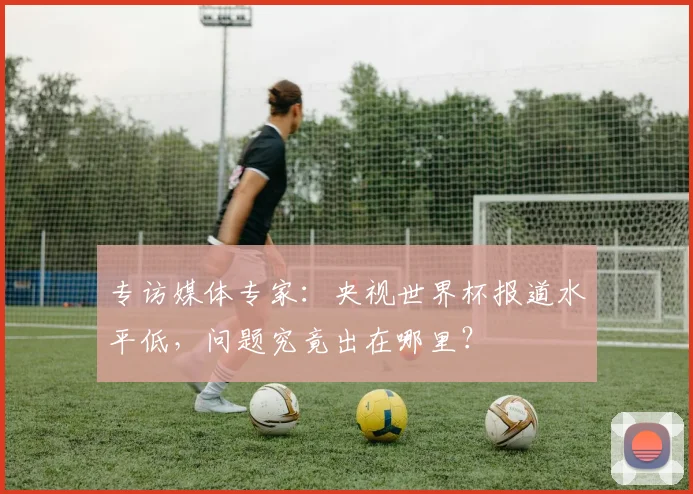 专访媒体专家：央视世界杯报道水平低，问题究竟出在哪里？
