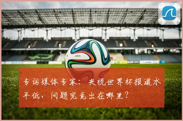 专访媒体专家：央视世界杯报道水平低，问题究竟出在哪里？