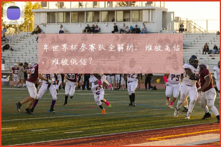 年世界杯参赛队全解析：谁被高估，谁被低估？