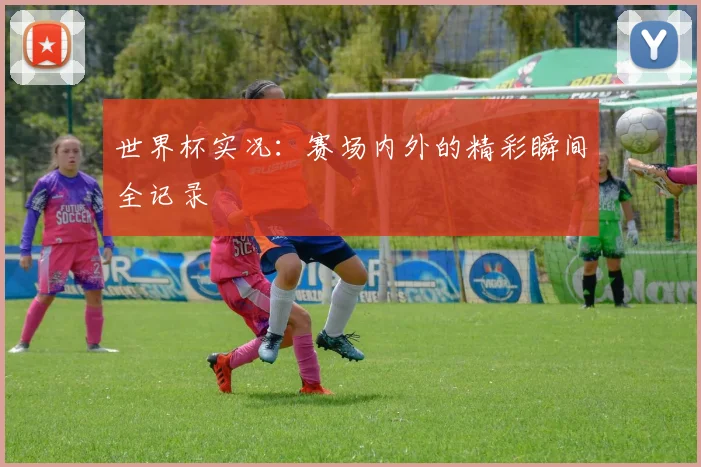 世界杯实况：赛场内外的精彩瞬间全记录